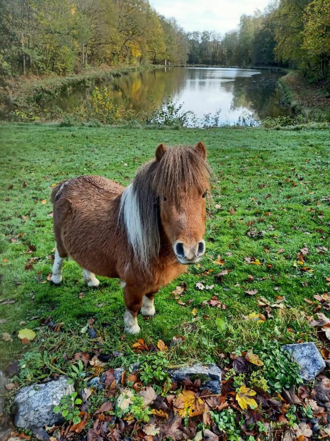 Deux étangs poissonneux au milieu des bois avec gîte moderne, la halte des deux lacs Rosée Exterior foto