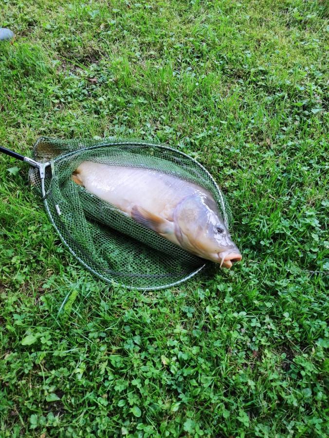 Deux étangs poissonneux au milieu des bois avec gîte moderne, la halte des deux lacs Rosée Exterior foto