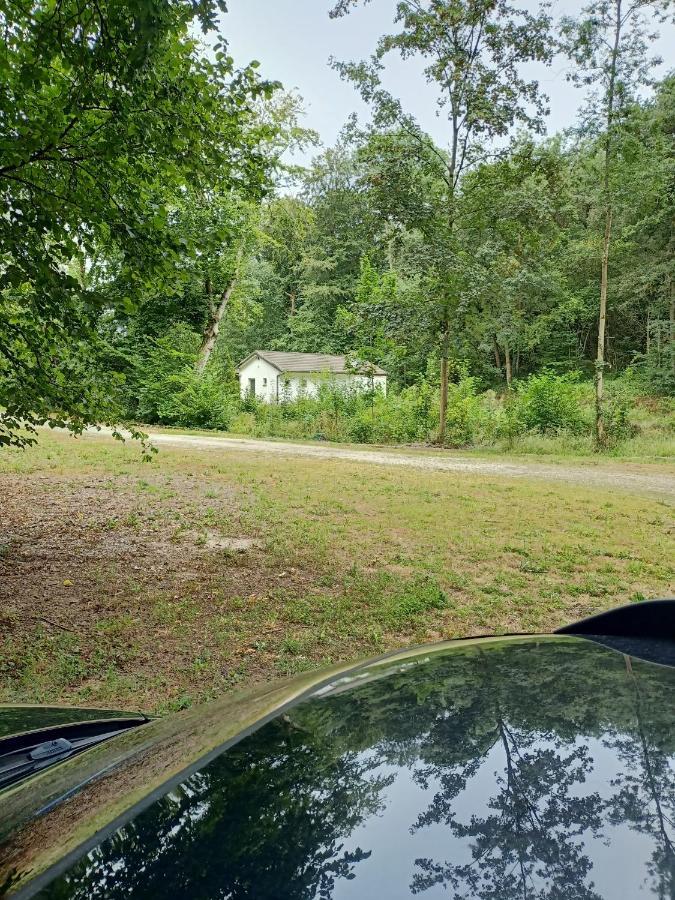 Deux étangs poissonneux au milieu des bois avec gîte moderne, la halte des deux lacs Rosée Exterior foto