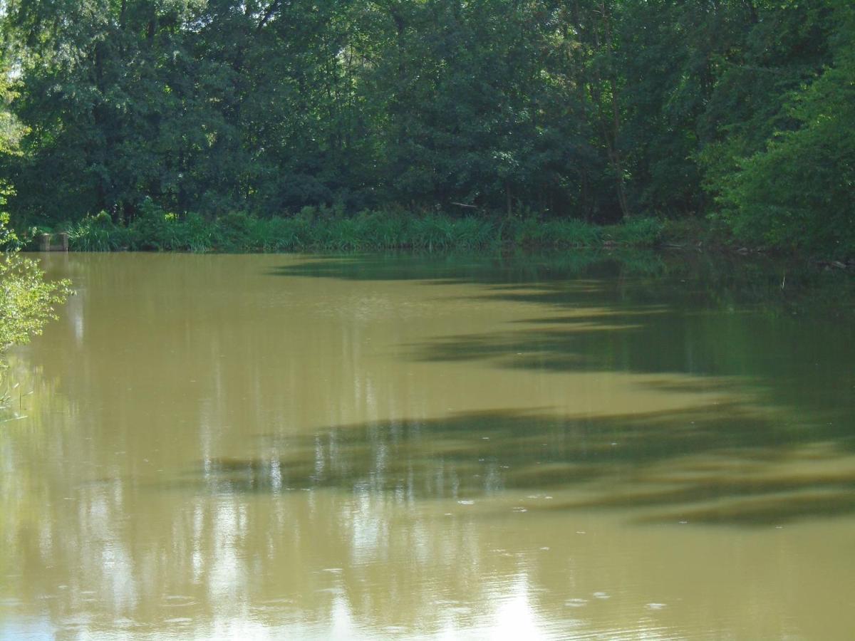 Deux étangs poissonneux au milieu des bois avec gîte moderne, la halte des deux lacs Rosée Exterior foto