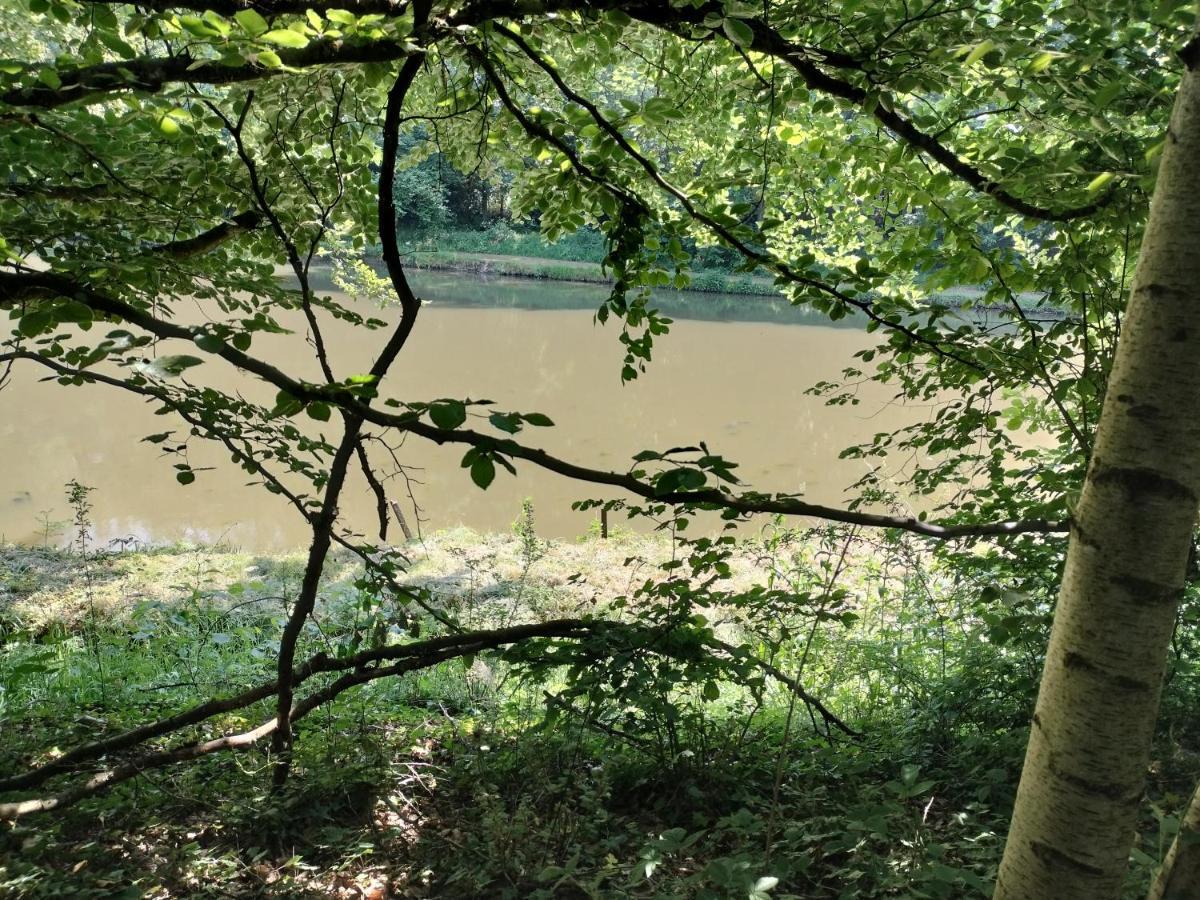 Deux étangs poissonneux au milieu des bois avec gîte moderne, la halte des deux lacs Rosée Exterior foto