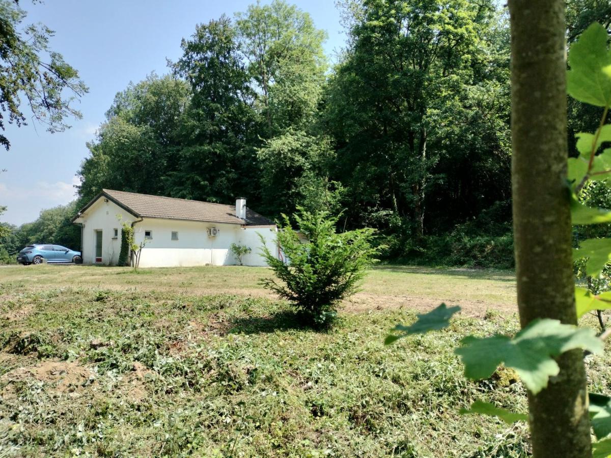 Deux étangs poissonneux au milieu des bois avec gîte moderne, la halte des deux lacs Rosée Exterior foto