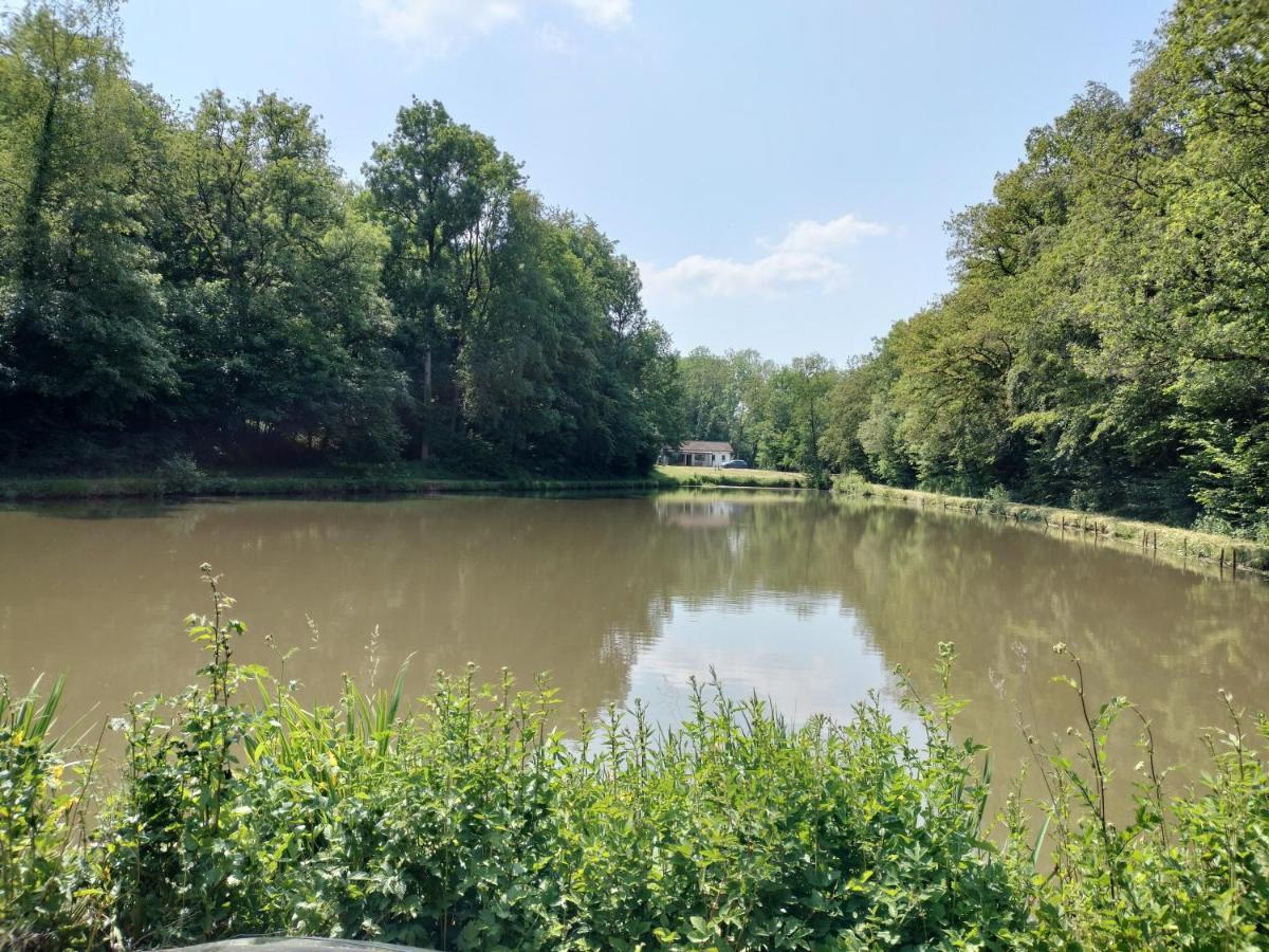 Deux étangs poissonneux au milieu des bois avec gîte moderne, la halte des deux lacs Rosée Exterior foto