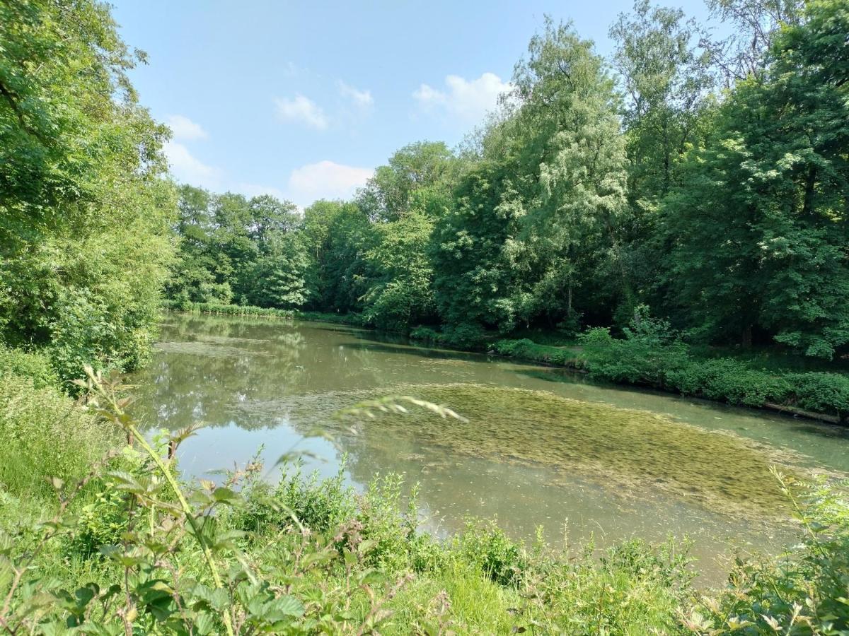 Deux étangs poissonneux au milieu des bois avec gîte moderne, la halte des deux lacs Rosée Exterior foto