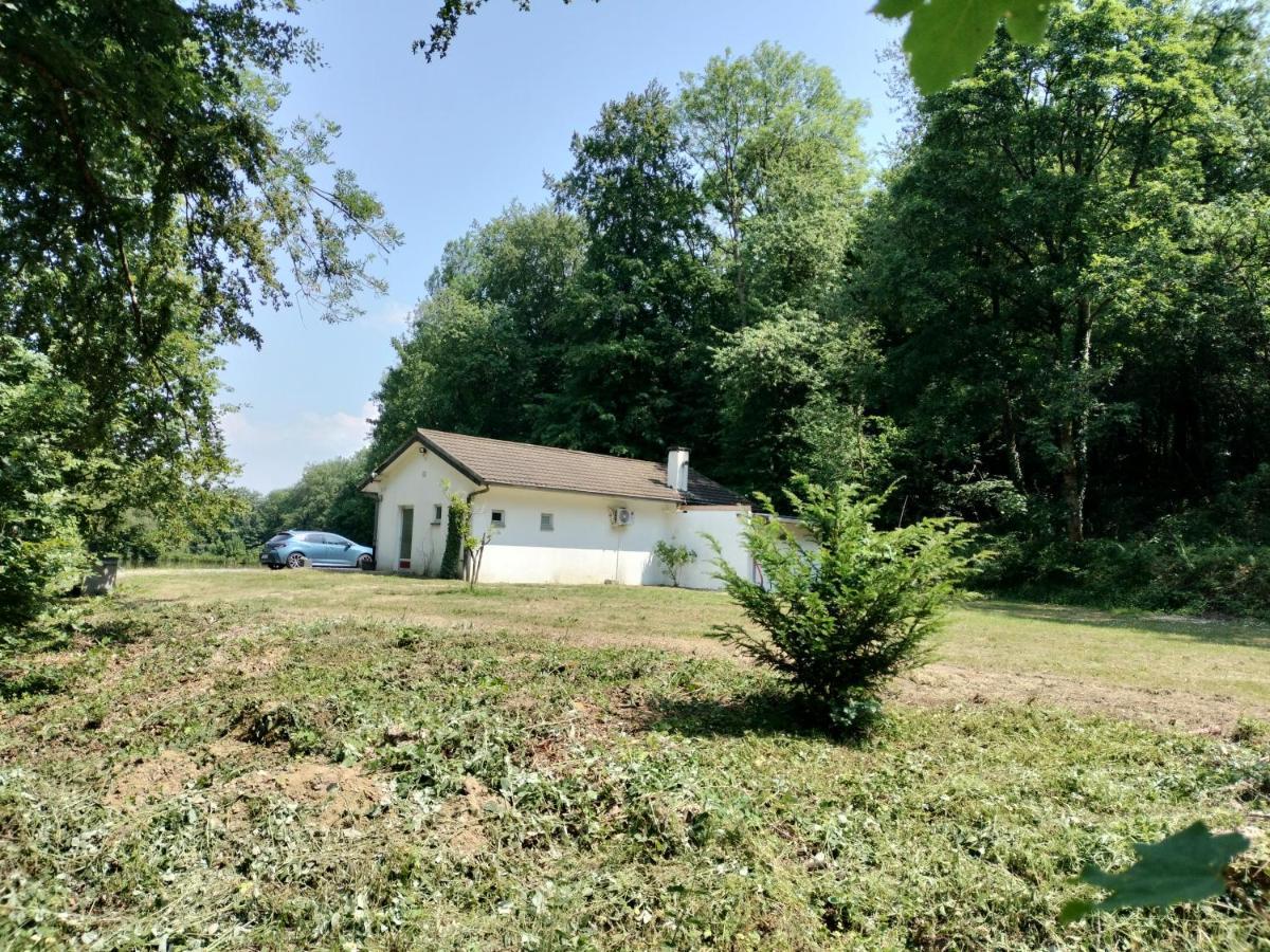 Deux étangs poissonneux au milieu des bois avec gîte moderne, la halte des deux lacs Rosée Exterior foto